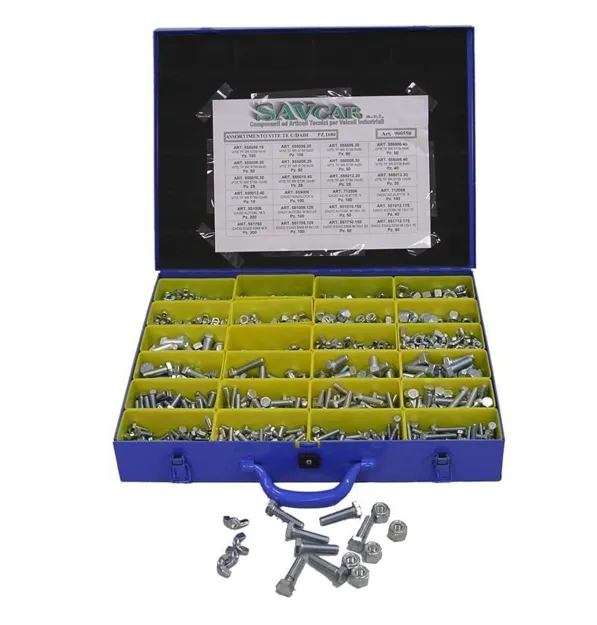 Assortimento viti zincate testa esagonale con dadi
