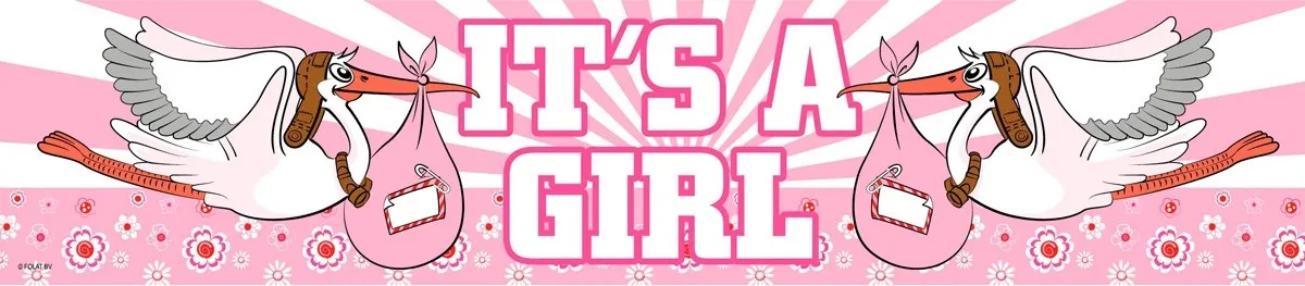 Banner Baby Shower Its A Girl 260x19cm