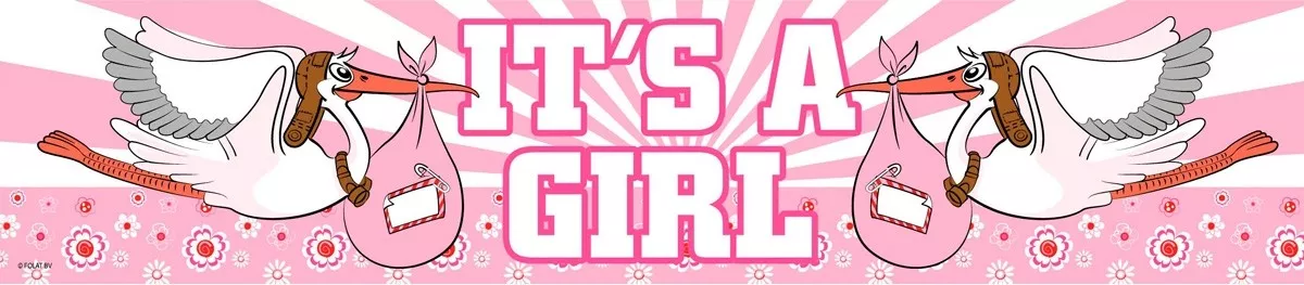 Banner Baby Shower Its A Girl 260x19cm