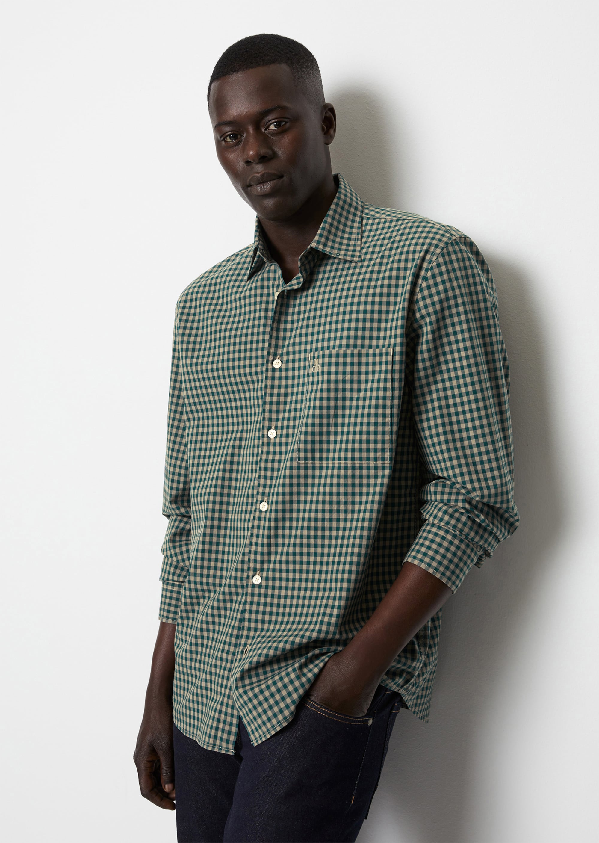 Camicia regolare nel controllo di Vichy