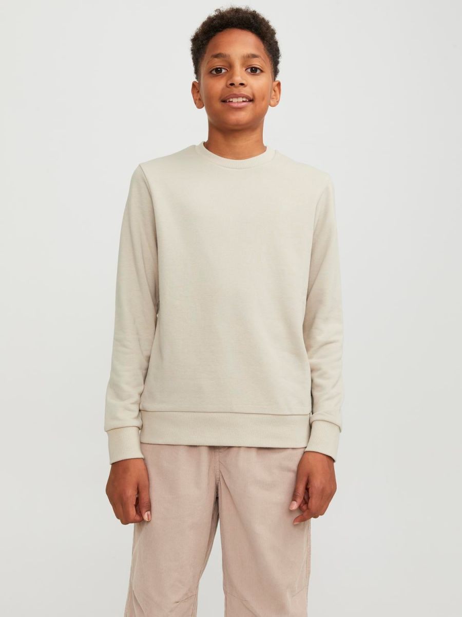 FELPA Ragazzo JACK&JONES 12250530 BRADLEY CREW MOONBEAM
