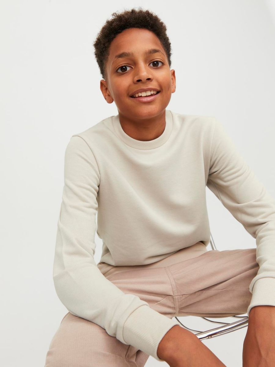 FELPA Ragazzo JACK&JONES 12250530 BRADLEY CREW MOONBEAM