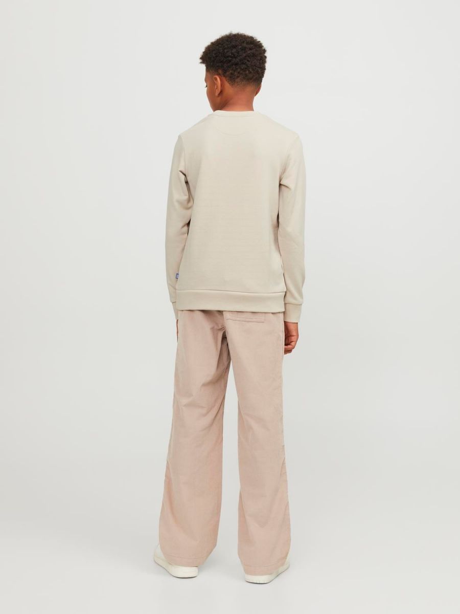 FELPA Ragazzo JACK&JONES 12250530 BRADLEY CREW MOONBEAM