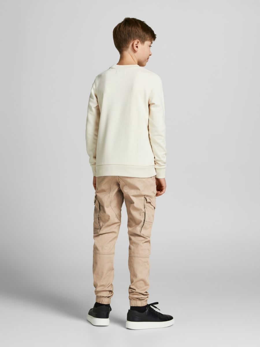 PANTALONI Ragazzo JACK&JONES 12193900 PAUL FLAKE CROCKERY